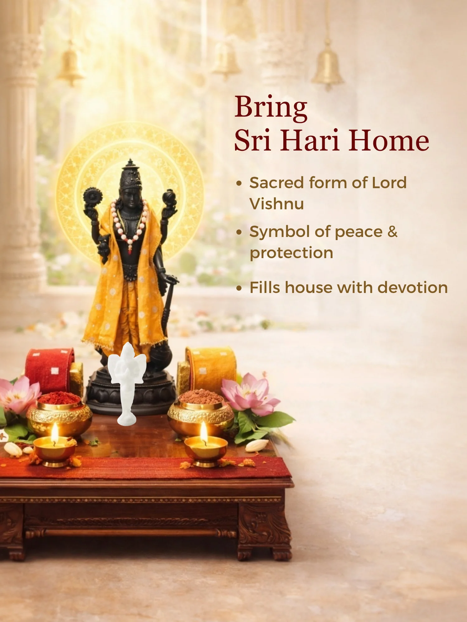 Sri Hari Vigraha Set - Image 4